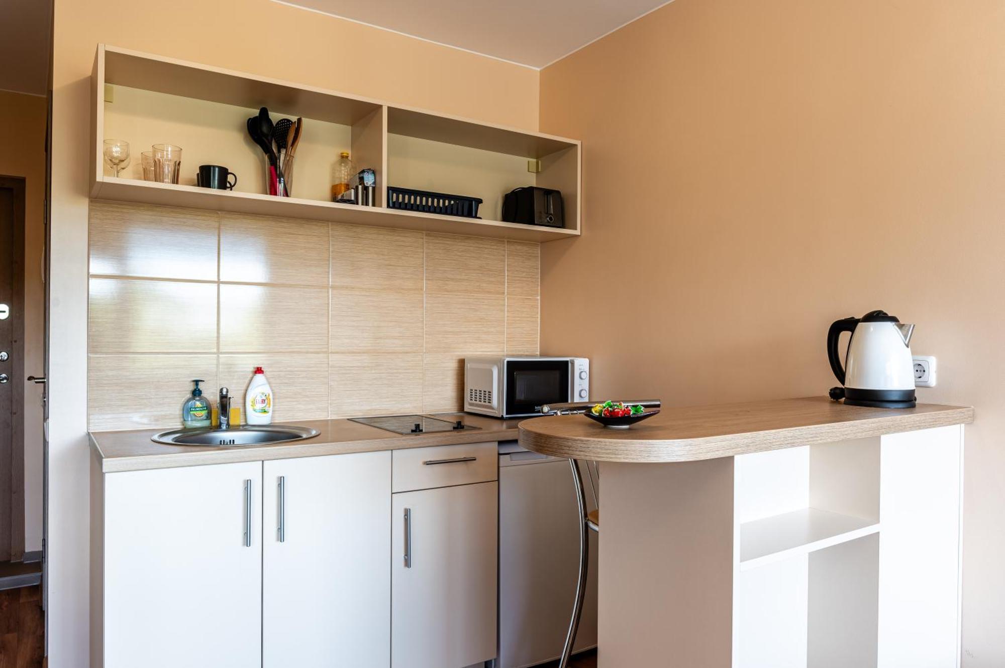קובנה Studio Apartment מראה חיצוני תמונה