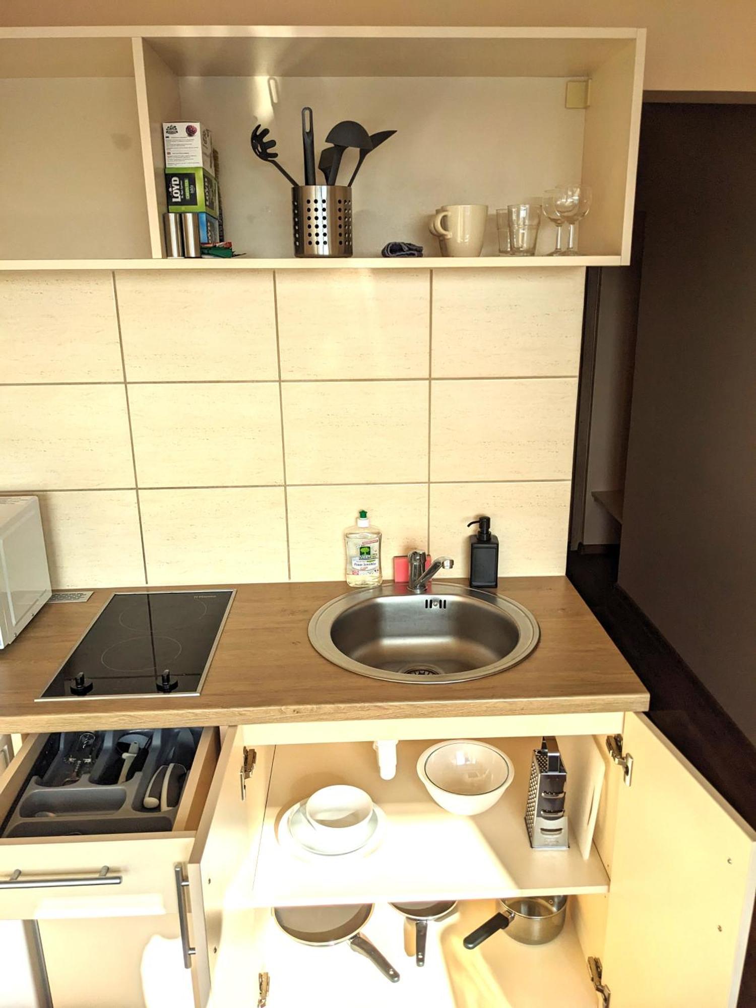קובנה Studio Apartment מראה חיצוני תמונה